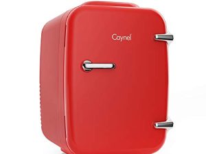 Mini Fridge Portable Thermoelectric 4 Liter Cooler and Warmer for Skincare