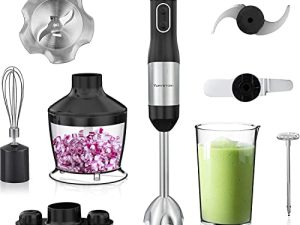 Immersion Blender